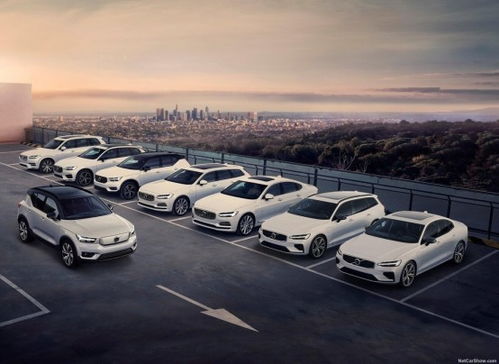 沃爾沃11月銷量增長24.5%，庫存深度不足一個月再創新紀錄